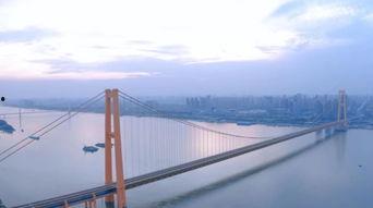 武汉大桥爆料最新消息,揭秘工程进展与未来规划